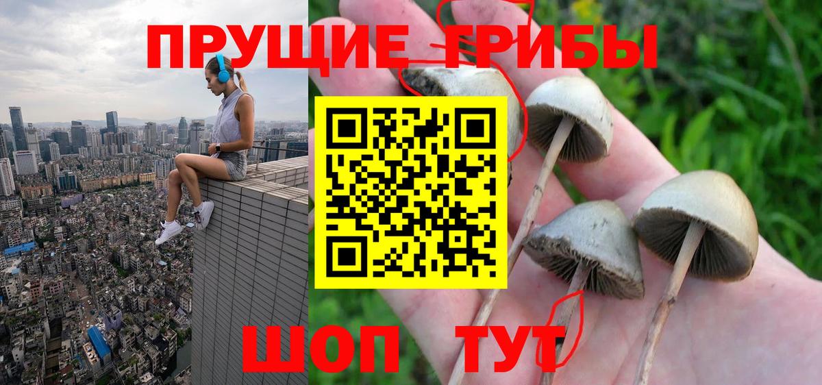 закладка  Галлюциногенные грибы GOLDEN TEACHER  Вход с VPN  Златоуст 